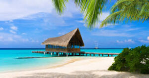 Memory Training Courses in Maldives