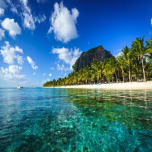 Memory Training Courses in Mauritius